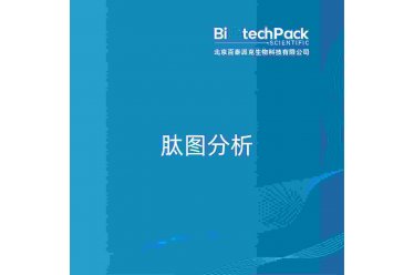 肽图分析