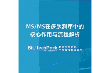 MS/MS在多肽测序中的核心作用与流程解析