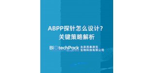 ABPP<em>探针</em>怎么设计？关键策略解析