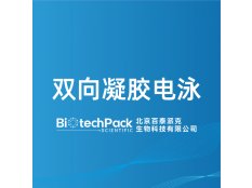 雙向凝膠電泳