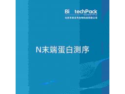 N末端蛋白测序