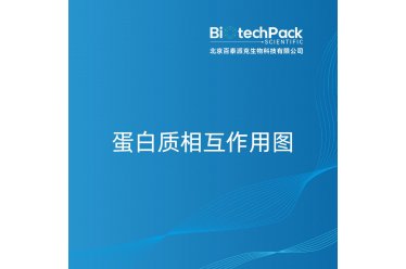 蛋白质相互作用图
