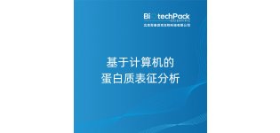 基于<em>计算机</em>的蛋白质表征分析