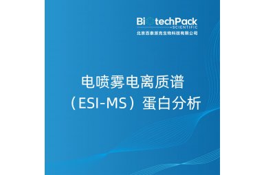 电喷雾电离质谱（ESI-MS）蛋白分析