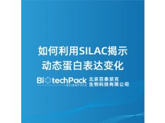 如何利用SILAC揭示动态蛋白表达变化