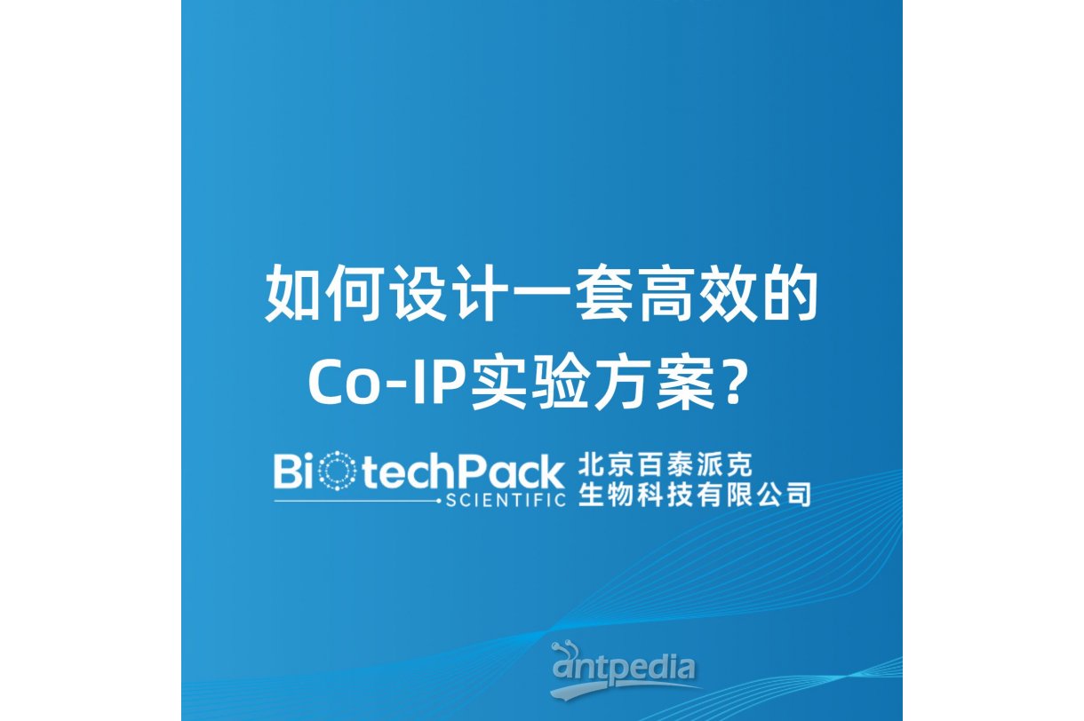 如何设计一套高效的Co‑IP实验方案？