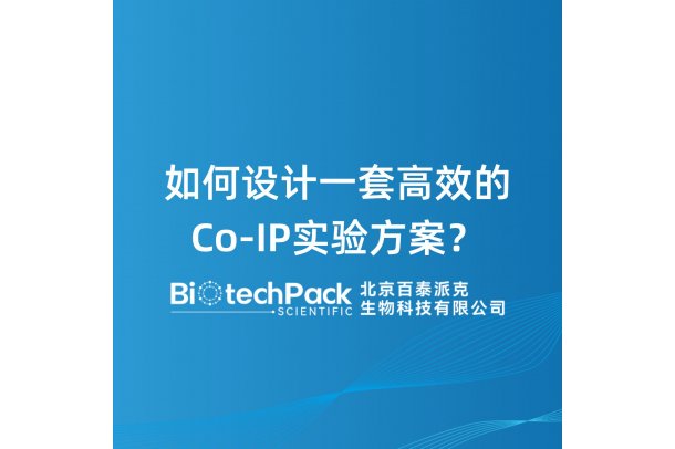 如何设计一套高效的Co‑IP实验方案？