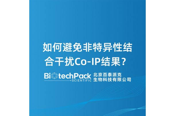 如何避免非特异性结合干扰Co-IP结果？