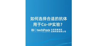 如何选择合适的<em>抗体</em>用于Co‑IP实验？