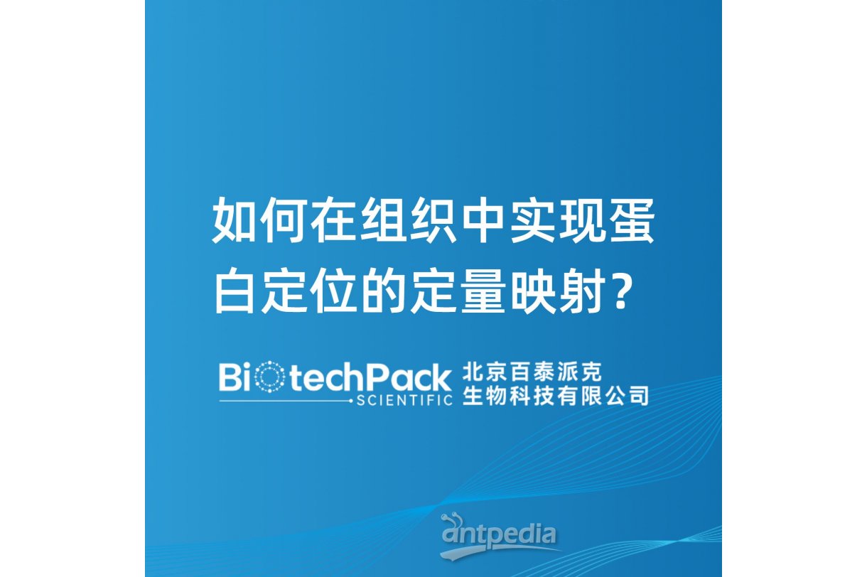 如何在组织中实现蛋白定位的定量映射？