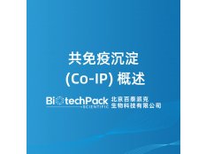 共免疫沉淀 (Co‑IP) 概述