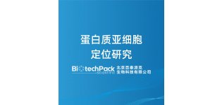 蛋白质亚细胞<em>定位</em>研究