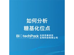 如何分析糖基化位点