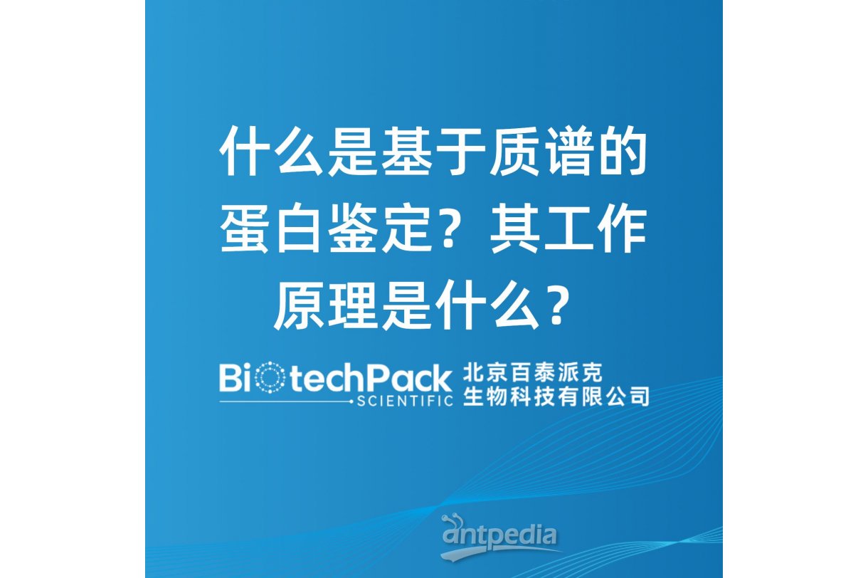 什么是基于质谱的蛋白鉴定？其工作原理是什么？