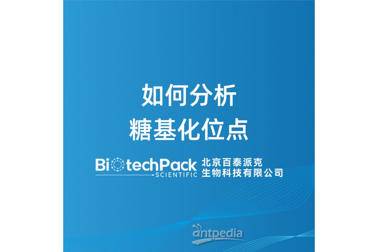 如何分析糖基化位点
