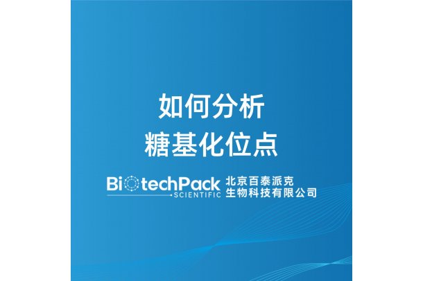 如何分析糖基化位点