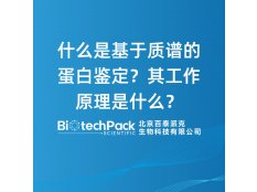 什么是基于质谱的蛋白鉴定？其工作原理是什么？