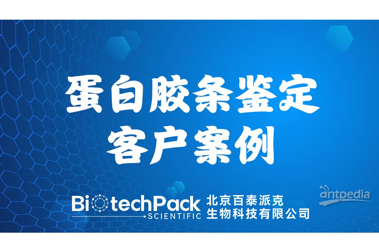 百泰派克生物科技,蛋白胶条鉴定客户案例
