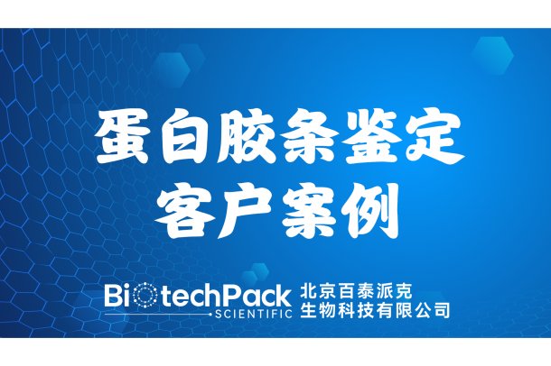 百泰派克生物科技,蛋白胶条鉴定客户案例