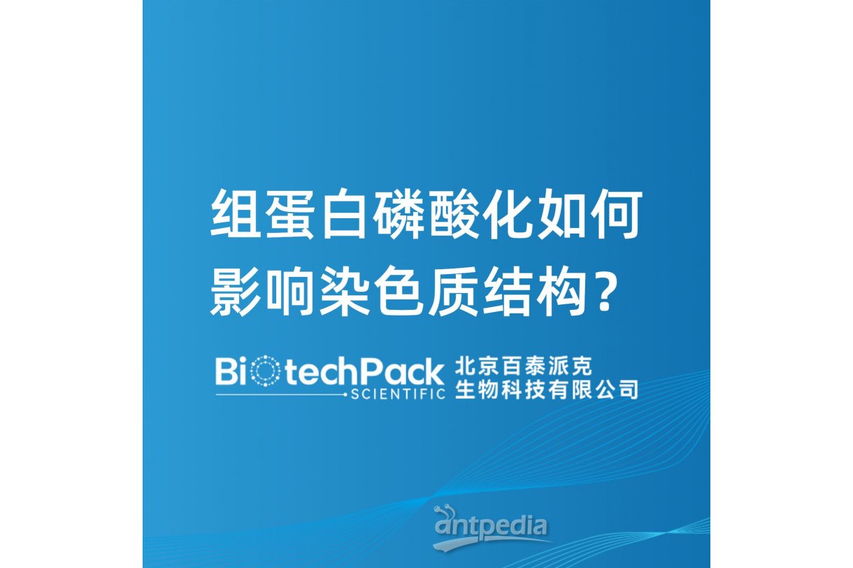 组蛋白磷酸化如何影响染色质结构？