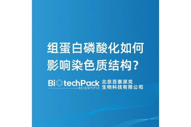 组蛋白磷酸化如何影响染色质结构？