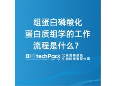 组蛋白磷酸化蛋白质组学的工作流程是什么？