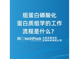 组蛋白磷酸化蛋白质组学的工作流程是什么？