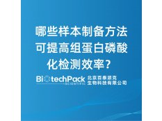 哪些样本制备方法可提高组蛋白磷酸化检测效率？