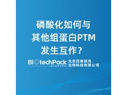 磷酸化如何与其他组蛋白PTM发生互作？