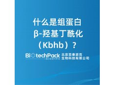 什么是组蛋白 β-羟基丁酰化（Kbhb）？