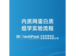 内质网蛋白质组学实验流程