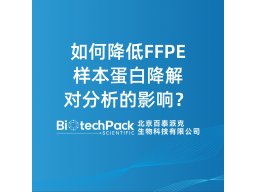 如何降低FFPE样本蛋白降解对分析的影响？