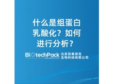 什么是组蛋白乳酸化？如何进行分析？