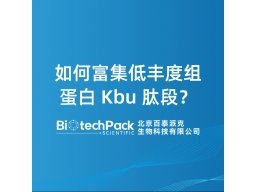 如何富集低丰度组蛋白 Kbu 肽段？
