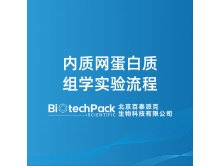 内质网蛋白质组学实验流程