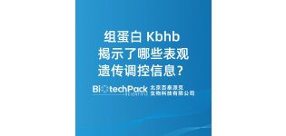 组蛋白 Kbhb 揭示了哪些表观遗传<em>调控</em>信息?