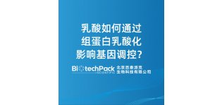 乳酸如何通过组蛋白乳酸化影响基因<em>调控</em>?