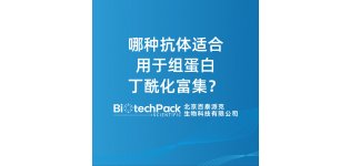 哪种<em>抗体</em>适合用于组蛋白丁酰化富集？