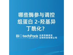 哪些酶参与调控组蛋白 2-羟基异丁酰化？