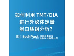 如何利用 TMT/DIA 进行外泌体定量蛋白质组分析？