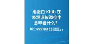 组蛋白 Khib 在表观<em>遗传</em>调控中意味着什么?