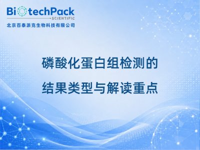 磷酸化蛋白组检测的结果类型与解读重点