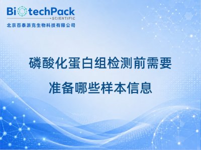磷酸化蛋白组检测前需要准备哪些样本信息