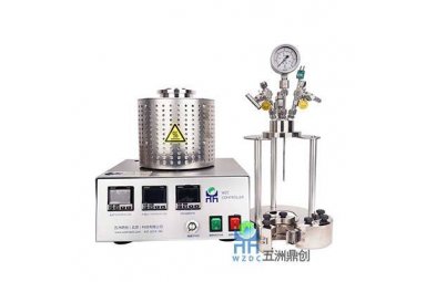五洲鼎创WZ/WZC温度压力显示控制器