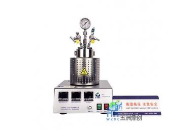鼎创直销 WZC磁力反应釜