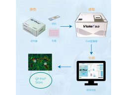 HAWK-超高精度原位蛋白功能定量分析系统