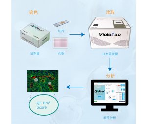 HAWK-超高精度原位蛋白功能定量分析系统