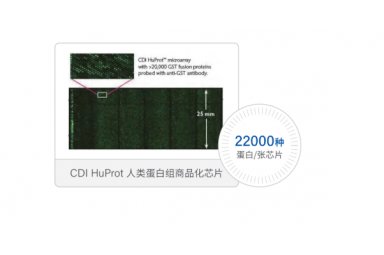 M100 微阵列生物芯片点样仪：小分子化合物/蛋白/多肽/核酸/多糖高通量筛选