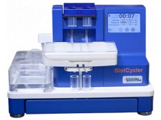 BlotCycler Mini全自动蛋白质免疫印迹杂交系