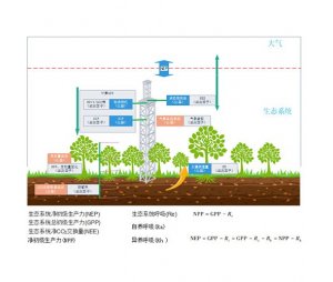DJ-6319B陆地生态碳汇综合解决方案